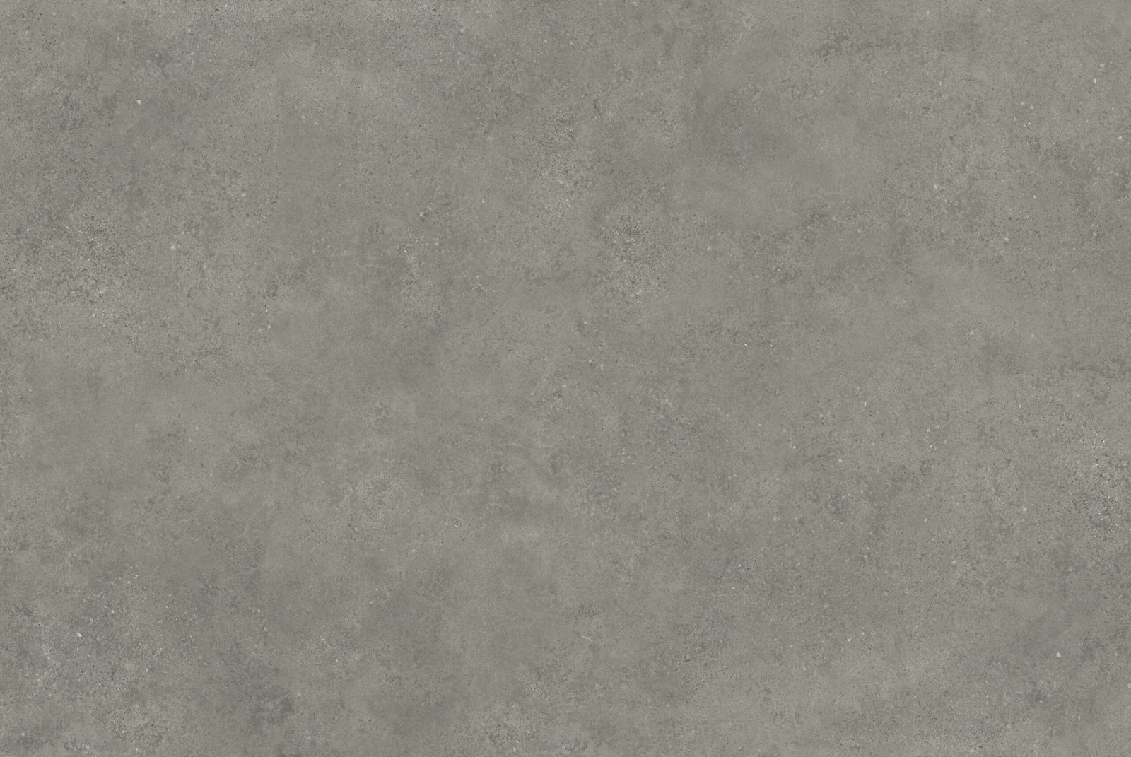 jackstone-tortora jackstone-tortora